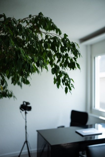 Consultation room — Praxis am Römerhof Zurich